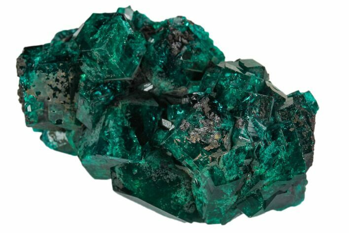 Gorgeous, Gemmy Dioptase Crystal Cluster - Congo #129545